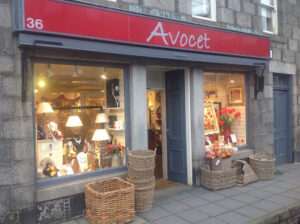 Avocet