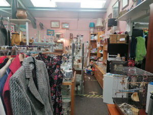 Bricc Thrift Shop