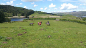 Craigengillan Stables