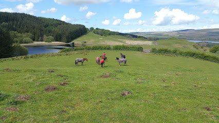 Craigengillan Stables