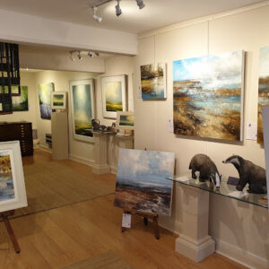 Dart Gallery