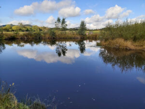Greenhill Fishery