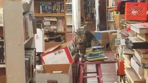Mostly Books Philly