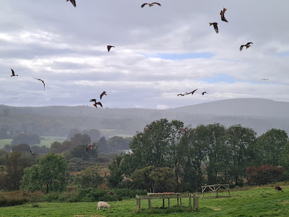 Red Kite Centre, Laurieston