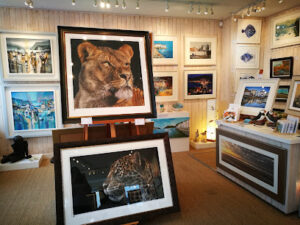 White Sails Gallery